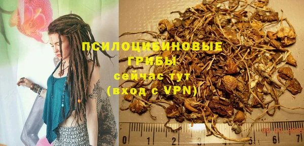 мдма Осинники